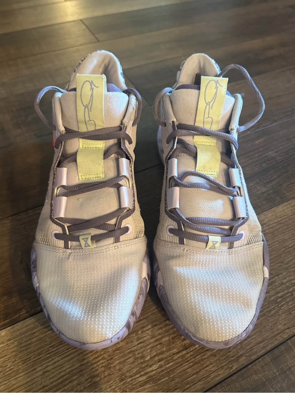 Nike PG 6 Paulette Violet Frost